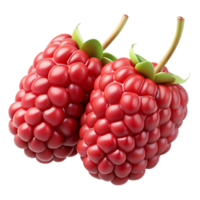 3D Render of Two Raspberries png