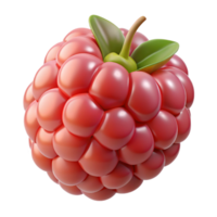 3D Render of a Single Raspberry png