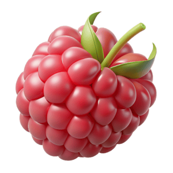 3D Render of a Single Raspberry png