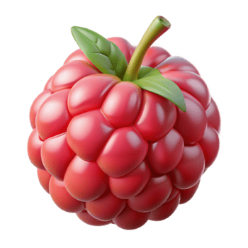 3D Render of a Raspberry png