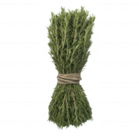 A bunch of fresh green herbs bundled together for culinary use and decoration. png
