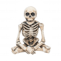 A detailed human skeleton figurine, embodying themes of mortality and the human condition. png