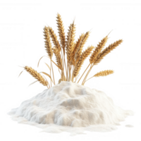 A pile of flour with wheat stalks, symbolizing grain production and baking. png