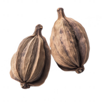 Close-up of dried, whole spice pods with textured surface and pale brown color. png