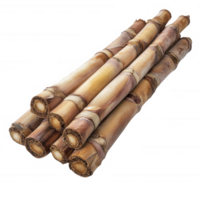 A bundle of fresh sugarcane stalks displayed on a clean surface. png