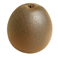 A close-up view of a unique brown fruit with textured skin and round shape. png