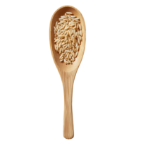 High-Quality Rice Paddle for Cooking and Serving on transparent background png