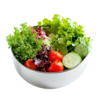 Efficient Salad Chopper for Quickly Preparing Fresh Salads on transparent background png