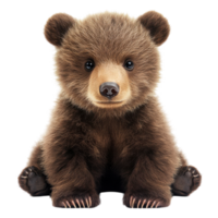 Fluffy Brown Bear Cub for Wildlife Conservation Materials on Transparent Background png