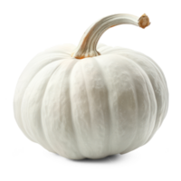 white pumpkin on transparent background png
