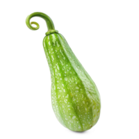 green squash on a transparent background png