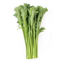 bunch of celery on a transparent background png