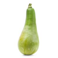 a single green squash on a transparent background png