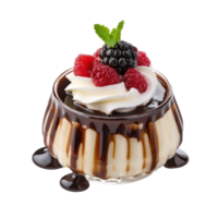 chocolate pudding with berries and whipped cream png