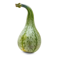 a green gourd on a transparent background png