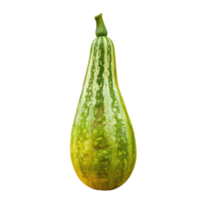 a green squash on a transparent background png