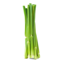green leeks on a transparent background png