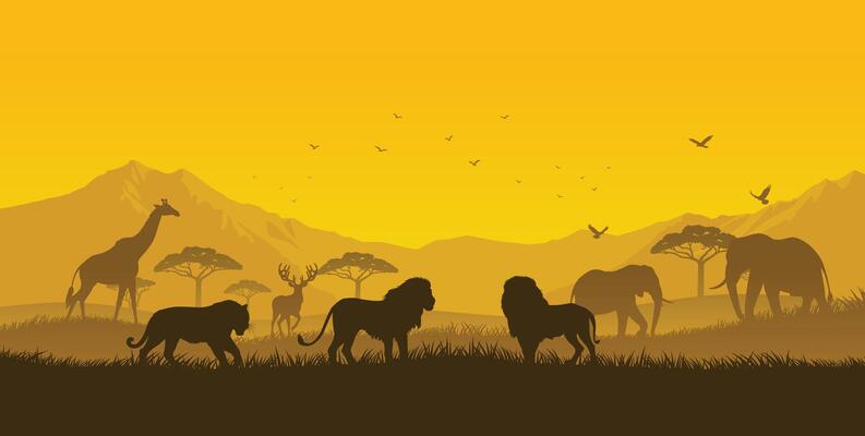 Sunset Safari, Wildlife in Harmony