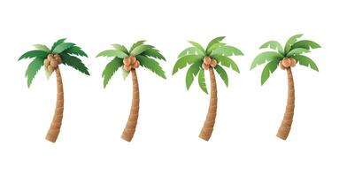 Set of Palm Trees with Coconuts Illustrations vector