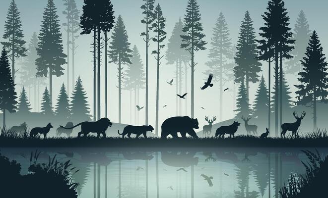 Wildlife Harmony in the Forest