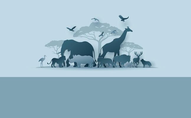 Wildlife Safari Scene in Paper Cut Art