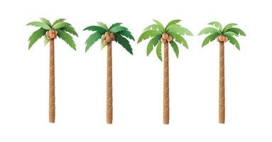 Set of Palm Trees with Coconuts Illustrations vector