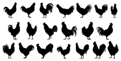 set of silhouettes of hen. isolated on transparent background. eps 10 vector