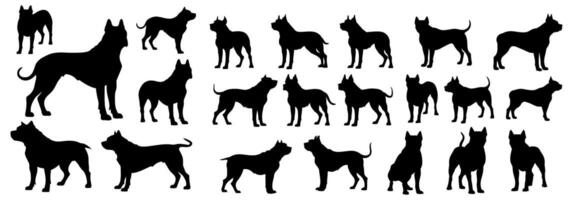 set of silhouettes of pitbull running pose. isolated on a transparent background. eps 10 vector