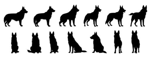 set of silhouettes of german shepherd dog sit and standing. isolated on a transparent background, eps 10 vector