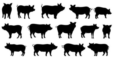 set of silhouettes of pig. isolated on transparent background. eps 10 vector