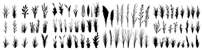 set of bush grass shrub herb silhouette transparent background eps 10 vector