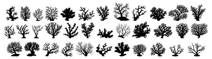 set of silhouettes of coral reef. sea anemones. underwater creatures. isolated on a background. eps 10 vector