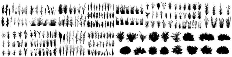 set of bush grass shrub herb silhouette transparent background eps 10 vector