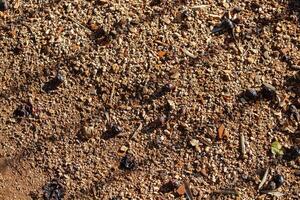 Red rocks of different shapes and sizes on the ground. Orange texture. Background. For text. For banner. Horizontal photo