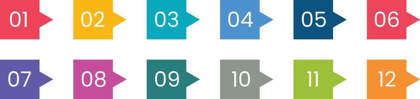 Set of colorful number icon from 1 - 12 isolated on white background for infographic and list data vector