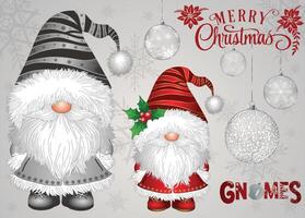 Charming and lovable gnomes. vector