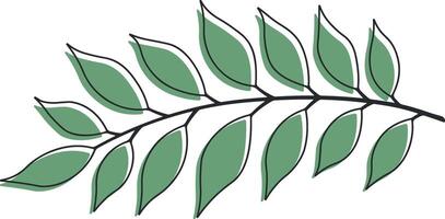 drawing of a branch with green leaves without background vector