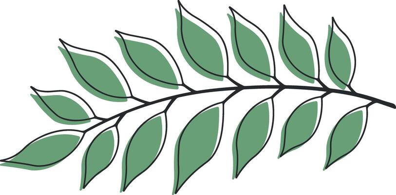 drawing of a branch with green leaves without background
