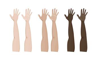 Front and palm side of arms illustration design. Different skin colors of hands vector
