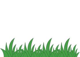 Green Grass Border on White Background vector