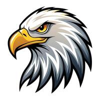 Eagle head isolated background vector