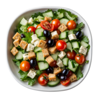 A sprinkle of parsley enhances the medley of tomatoes, cucumbers, olives, and croutons png