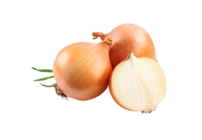 Simple Garlic Design Isolated with Transparency png