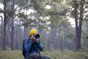 Photographer is sitting and taking photo of the new discovering bird species while exploring in the pine forest for surveying and locating rare biological diversity and ecologist on field study