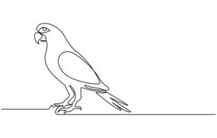 Continuous one line drawing of cute parrot bird with long tail vector