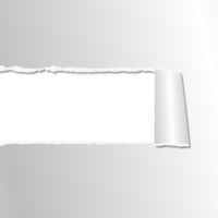 realistic torn paper on white background png