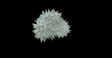 3D Virus-like Structure with Spiked Geometry on Black Background video