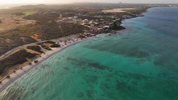 Aerial view of the beach on the Caribbean island of Aruba video