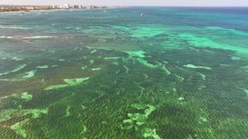 Aerial view of the beach on the Caribbean island of Aruba video
