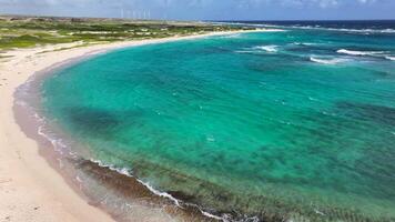 Aerial view of the coastline of Aruba video
